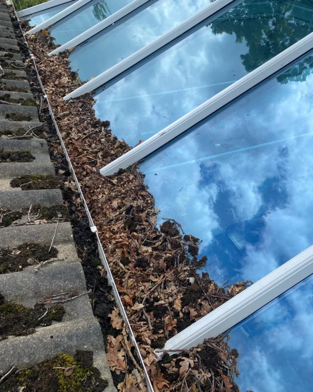 We had a beast of a job on this afternoon as we used our gutter vac  to clean this super clogged up conservatory guttering ☀️ 😅 #guttercleaning
