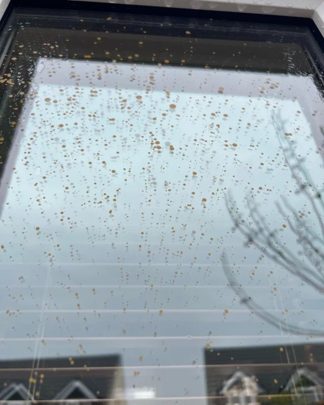 Always remember to mask off your windows when painting the fence! 🤦🏻‍♂️ 🎨 

Swipe to see the JT window cleaning treatment👌 ✨ 

#localbusiness #windowcleaning #nunthorpe #normanby #guisborough #grafting #windowcleaning  #elbowgrease #richmond